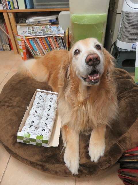 ファイル 5566-5.jpg