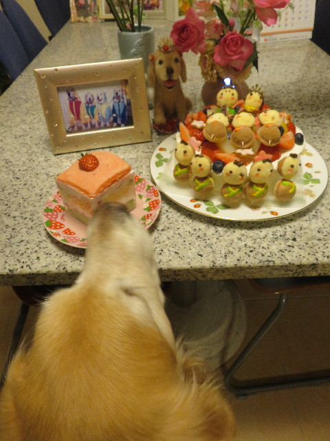 ファイル 5568-3.jpg