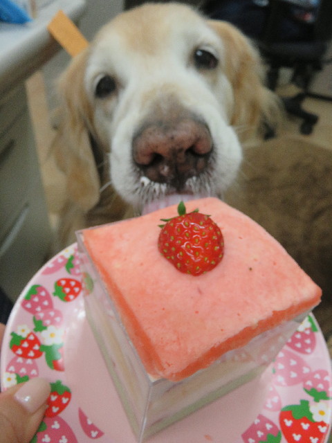 ファイル 5568-4.jpg