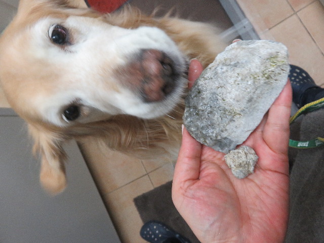 ファイル 5569-3.jpg