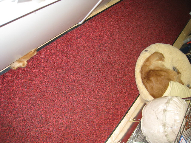 ファイル 557-4.jpg