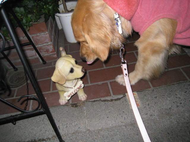 ファイル 557-5.jpg