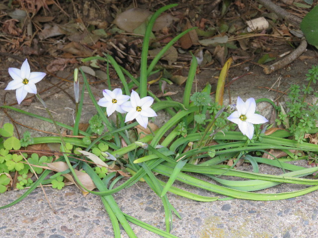 ファイル 5573-4.jpg