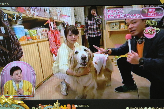 ファイル 5574-2.jpg