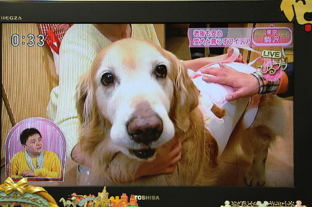 ファイル 5575-1.jpg