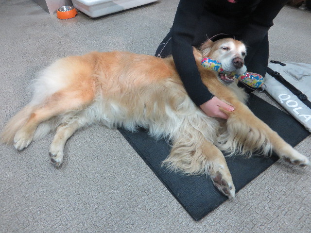 ファイル 5576-1.jpg