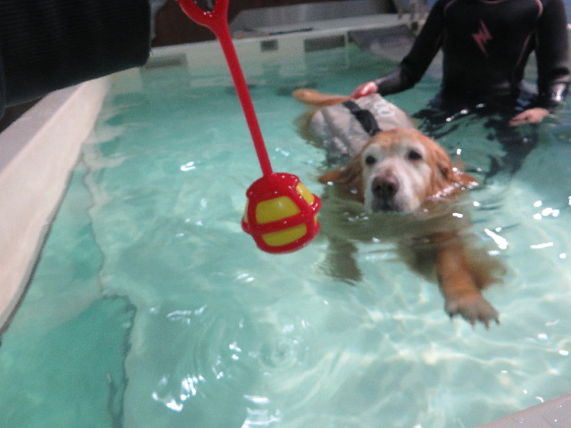 ファイル 5576-4.jpg