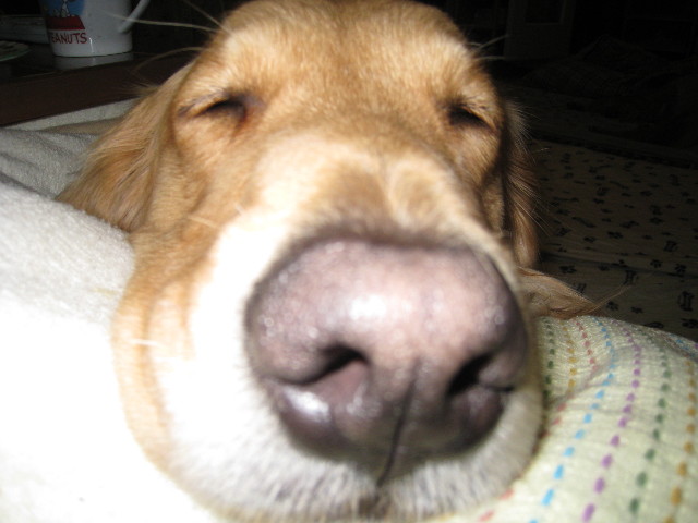 ファイル 558-1.jpg