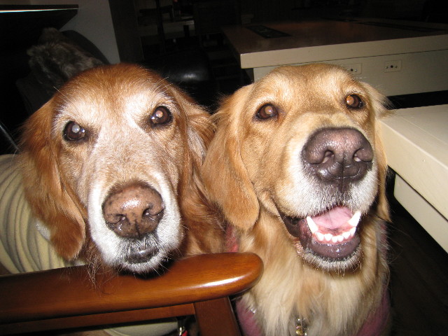 ファイル 558-4.jpg