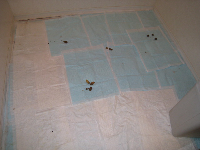 ファイル 558-5.jpg