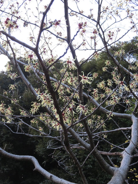 ファイル 5580-5.jpg