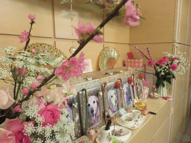 ファイル 5582-2.jpg