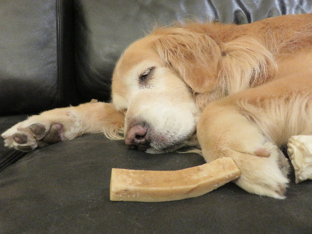 ファイル 5582-3.jpg