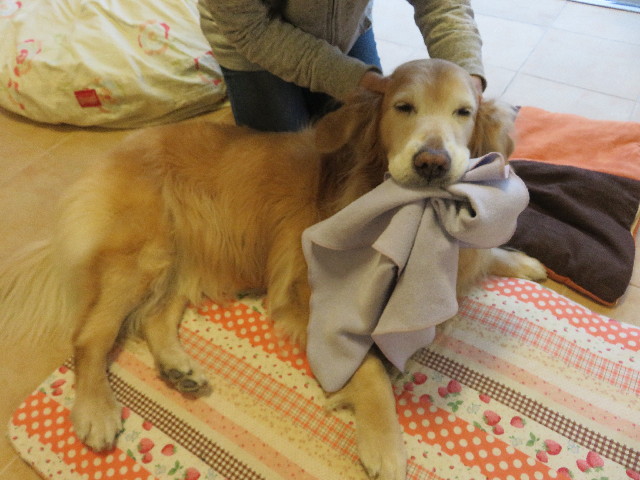 ファイル 5582-4.jpg