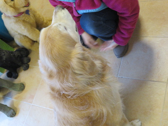 ファイル 5582-5.jpg