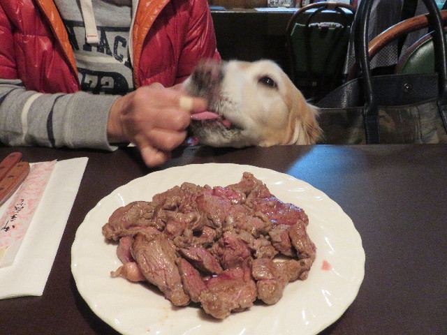 ファイル 5583-3.jpg