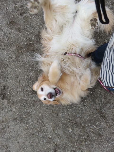 ファイル 5584-2.jpg