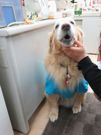 ファイル 5585-3.jpg