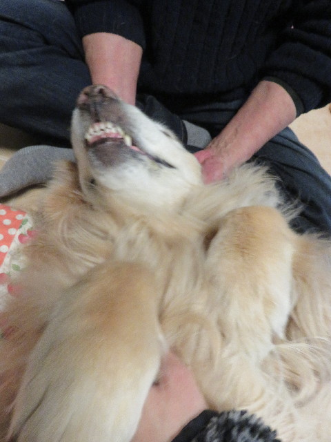 ファイル 5585-5.jpg