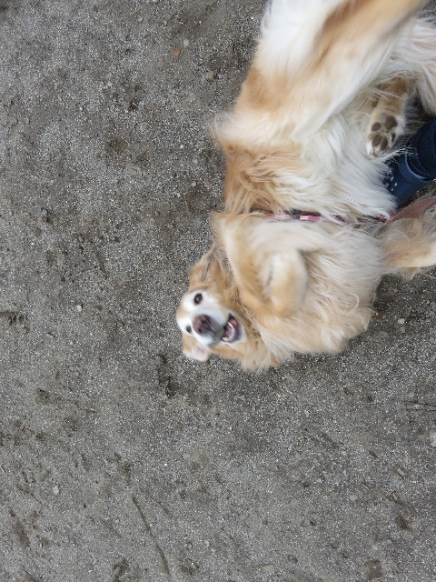 ファイル 5586-3.jpg