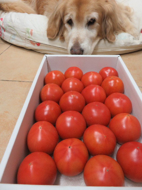 ファイル 5586-5.jpg