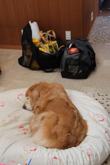 ファイル 5589-1.jpg