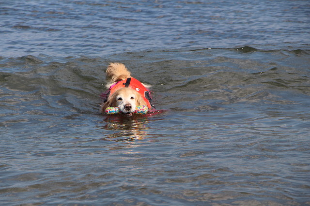 ファイル 5589-5.jpg