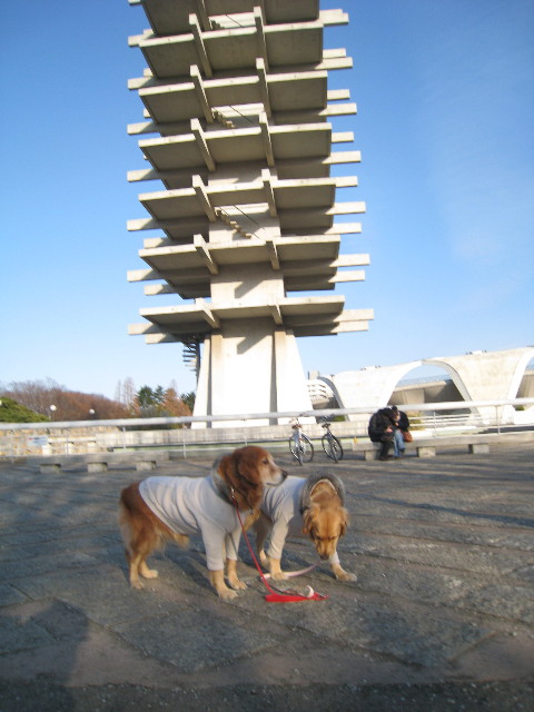 ファイル 559-4.jpg