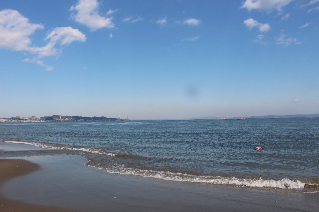 ファイル 5591-1.jpg