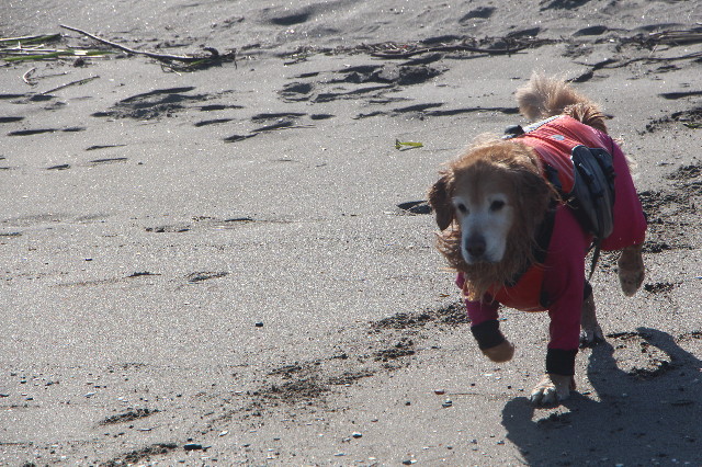 ファイル 5591-3.jpg