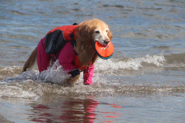 ファイル 5591-4.jpg