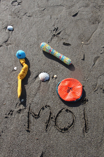 ファイル 5592-1.jpg