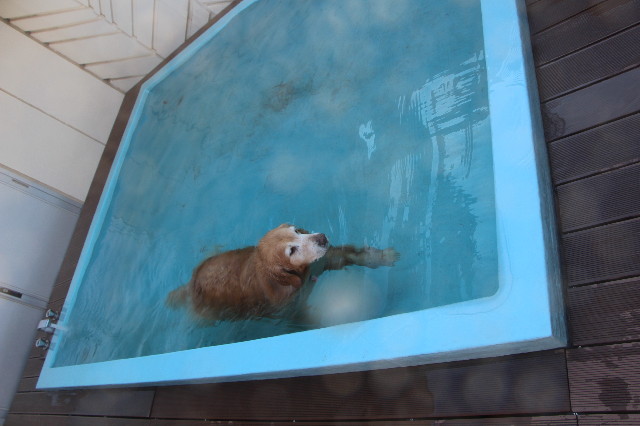 ファイル 5592-2.jpg