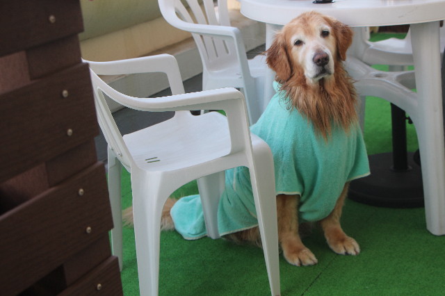 ファイル 5592-3.jpg