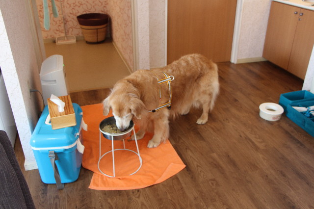 ファイル 5594-1.jpg