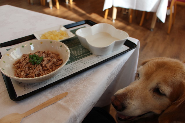 ファイル 5594-3.jpg