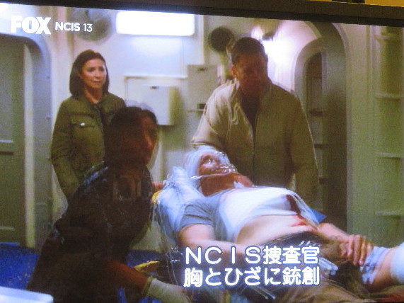 ファイル 5596-1.jpg