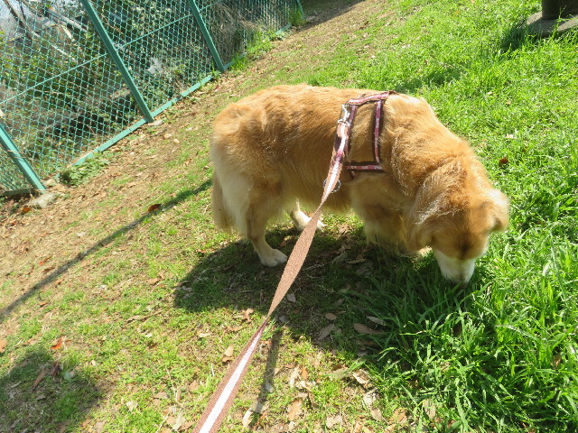 ファイル 5597-4.jpg