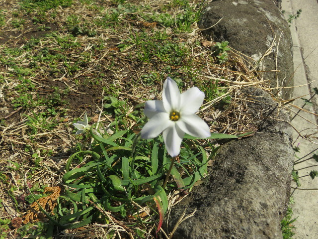 ファイル 5597-5.jpg