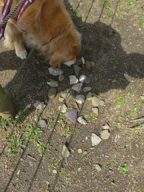 ファイル 5598-2.jpg