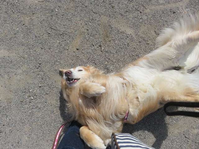 ファイル 5598-3.jpg