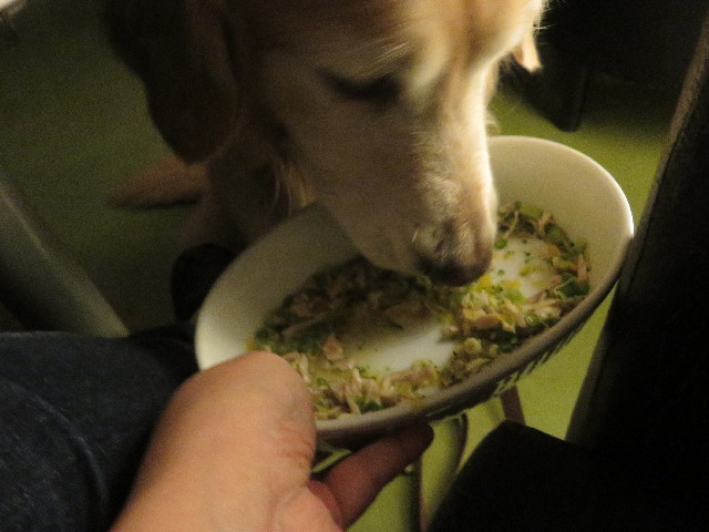 ファイル 5601-1.jpg