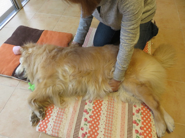 ファイル 5601-4.jpg