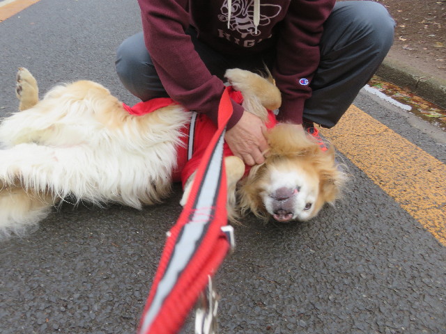 ファイル 5603-3.jpg