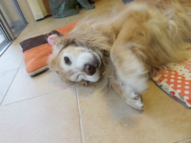 ファイル 5604-4.jpg