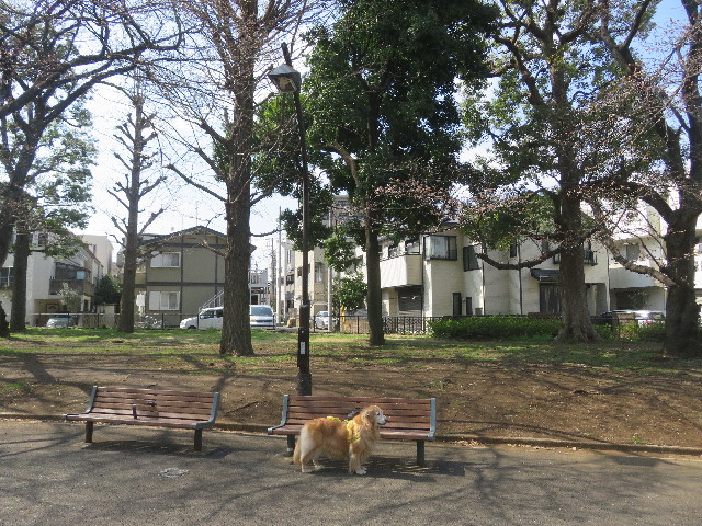 ファイル 5607-3.jpg