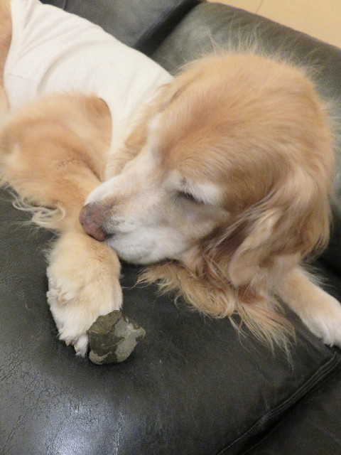 ファイル 5608-4.jpg