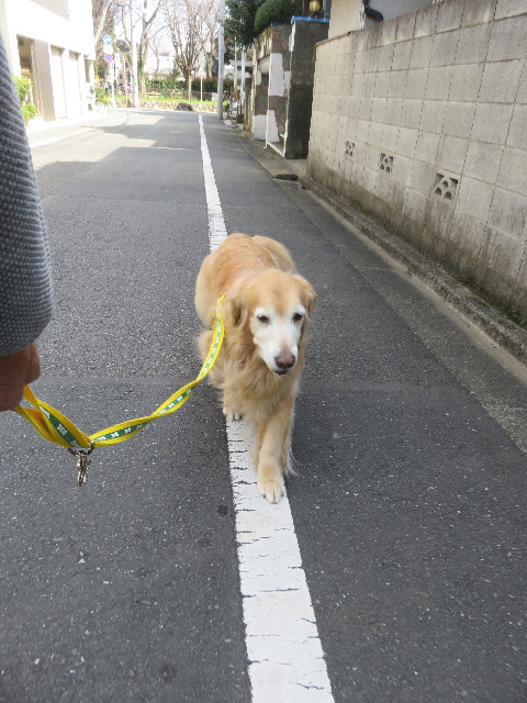 ファイル 5608-5.jpg