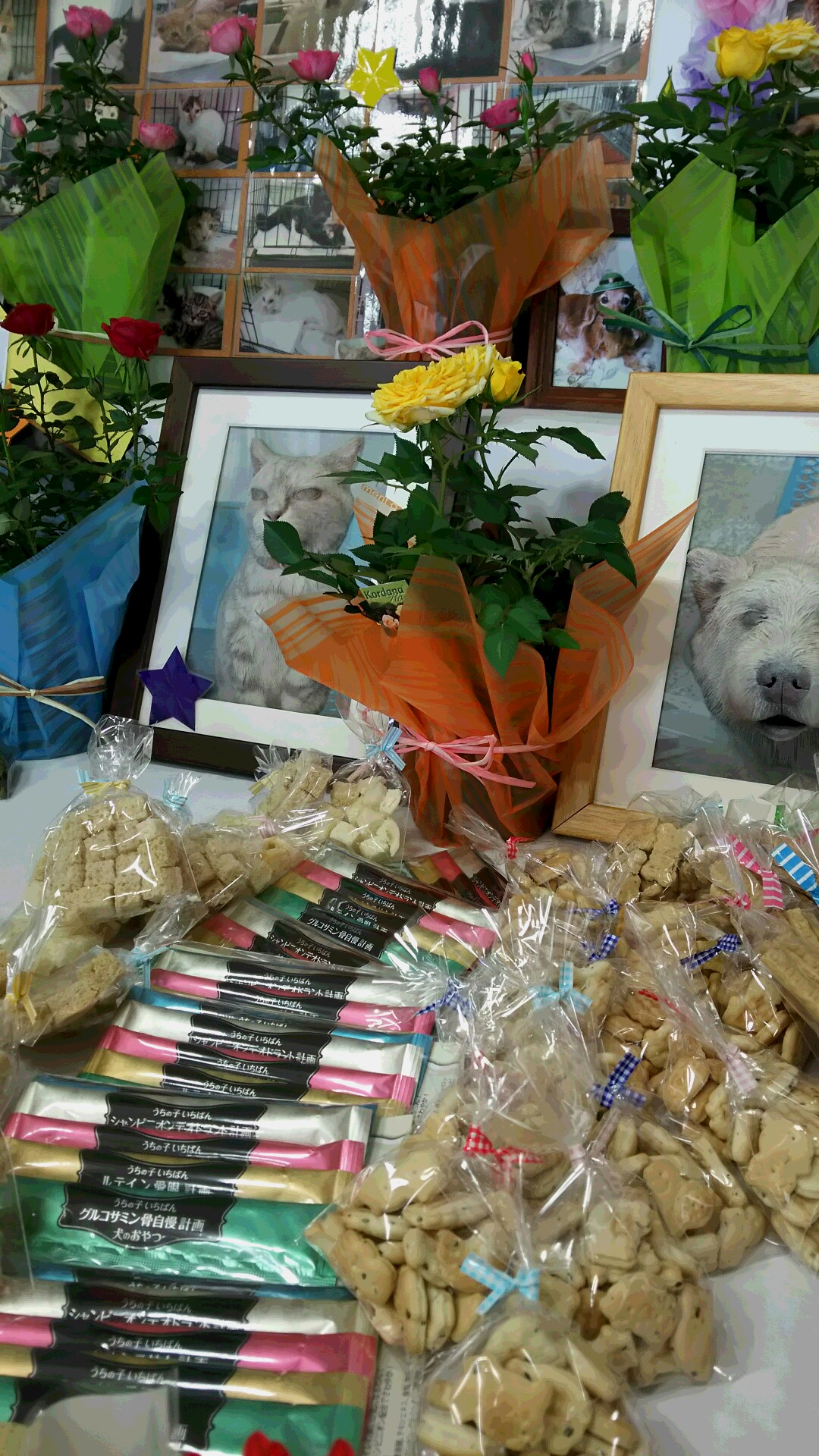 ファイル 5609-2.jpg