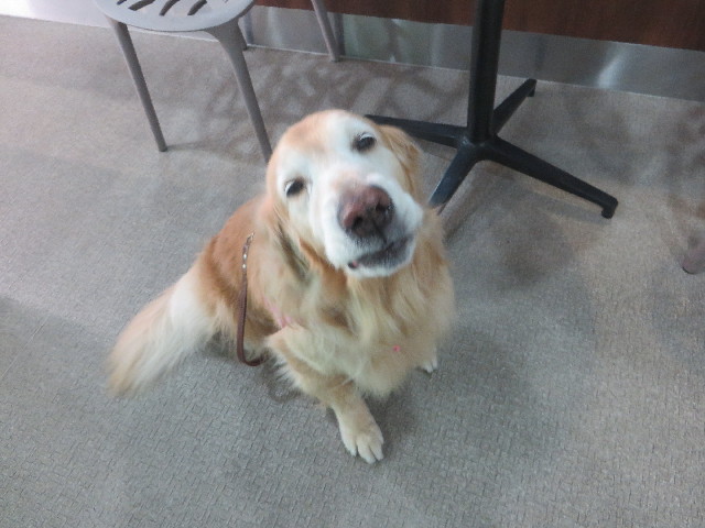 ファイル 5610-1.jpg